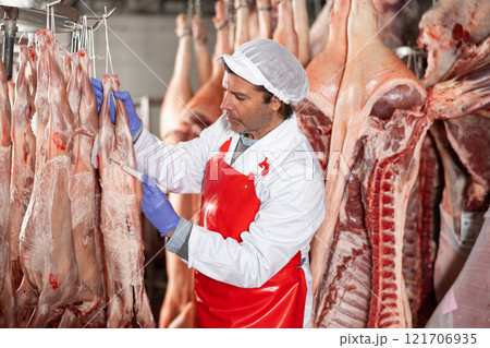 Male slaughterhouse worker using food thermometer to measure temperature of lamb carcass 121706935