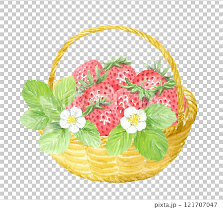 かごに入ったイチゴの水彩イラスト　アナログ手描き 121707047