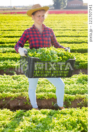 Happy young female farmer posing on plantation with harvested green lettuce 121707341