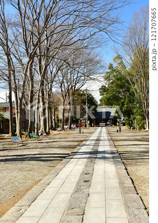 妻沼聖天山歓喜院　境内 121707665