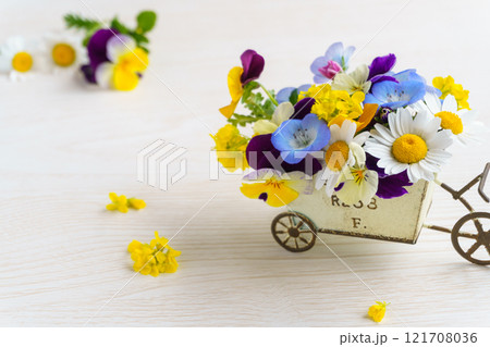 庭で摘んだ春の花いっぱいの花かごの背景 121708036