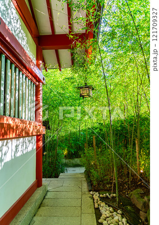 【静岡県】熱海市にある来宮神社の爽やかな竹林 121709327