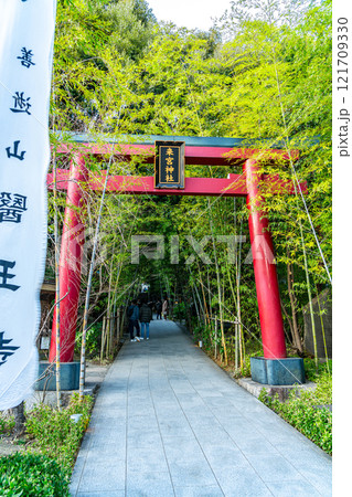 【静岡県】熱海市にある来宮神社の鳥居 【静岡県】熱海市にある来宮神社の鳥居 121709330
