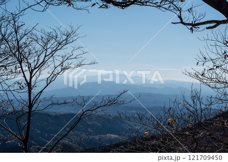木々の間に見える白山 木々の間に見える白山 121709450