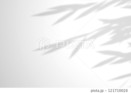 Willow branch shadow. Tree leaves shadow overlay. Sunlight trough the leaves. Nature organic shadow. Blurred Leaf shadow and light on wall background. 3d rendering Willow branch shadow. Tree leaves shadow overlay. Sunlight trough the leaves. Nature organic shadow. Blurred Leaf shadow and light on wall background. 3d rendering 121710028