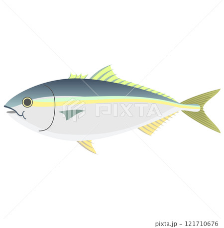 魚の鰤のベクターイラスト 121710676