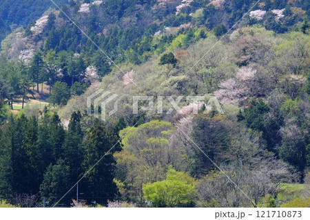 里山の芽吹きの頃　【相模原市津久井　4月】 121710873
