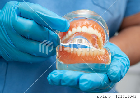 Asian dentist holding dental teeth model for learn about dentistry. Asian dentist holding dental teeth model for learn about dentistry. 121711043