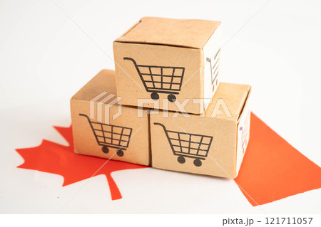 Canada shopping, Shopping cart box on Venezuala flag, import export, finance commerce. Canada shopping, Shopping cart box on Venezuala flag, import export, finance commerce. 121711057