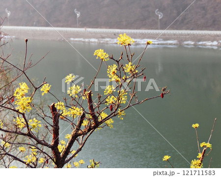 spring landscape of a river spring landscape of a river 121711583
