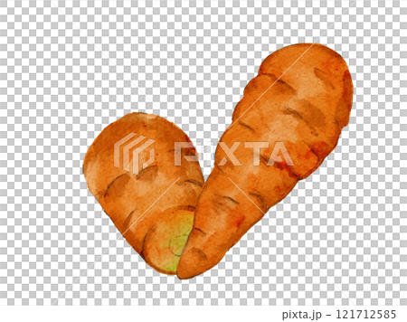 野菜を水彩で描いた人参にんじんニンジンのベクターイラスト素材 121712585