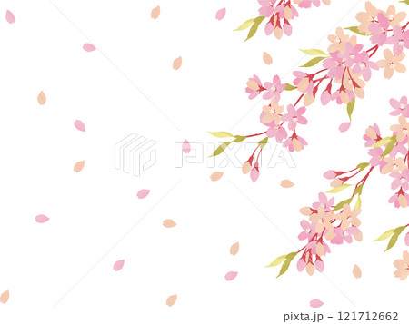 桜の花びらが舞う背景素材 121712662