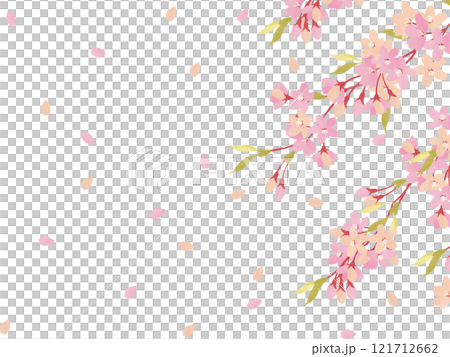 桜の花びらが舞う背景素材 121712662