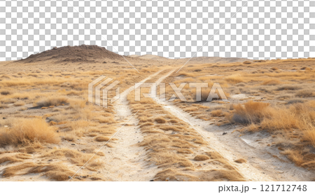 Road in the Desert 121712748