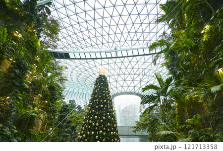 Christmas tree standing tall in jewel changi airport, singapore 121713358