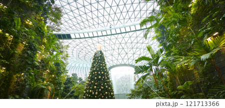 Christmas tree standing tall in jewel changi airport, singapore, with lush greenery and modern architecture Christmas tree standing tall in jewel changi airport, singapore, with lush greenery and modern architecture 121713366