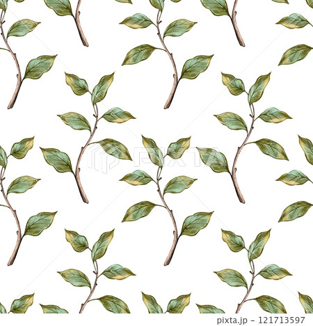 Seamless pattern Watercolor Branch with Green Leaves Seamless pattern Watercolor Branch with Green Leaves 121713597