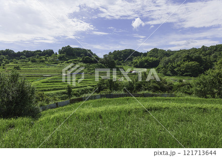 青空の下、田んぼの緑と山々のコントラスト 121713644