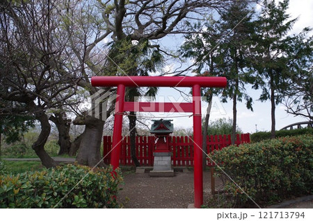大藪稲荷神社 春のsakurano赤い季節 赤い鳥居 三川公園 121713794