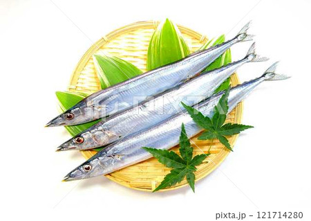 サンマ　秋刀魚　さんま 121714280