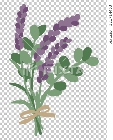 ラベンダーとリボンのベクターイラスト ラベンダーとリボンのベクターイラスト 121714453
