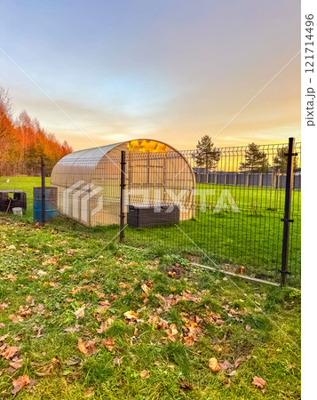 Greenhouse in a Fenced Garden at Sunset with Autumn Leaves on Grass. High quality photo Greenhouse in a Fenced Garden at Sunset with Autumn Leaves on Grass. High quality photo 121714496