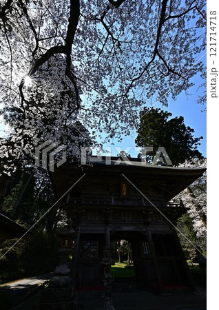 春の丹波篠山 121714718