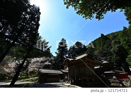 春の丹波篠山 春の丹波篠山 121714721