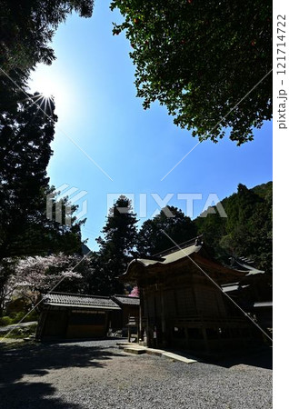 春の丹波篠山 121714722