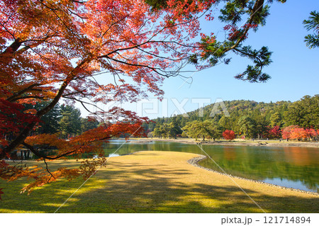 秋の毛越寺浄土庭園　大泉が池　州浜　岩手県 121714894