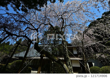 春の丹波篠山 春の丹波篠山 121714906