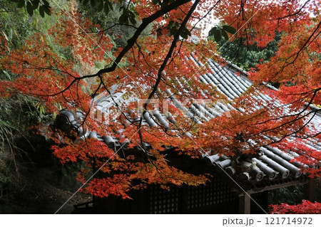 四国霊場71番  弥谷寺 121714972
