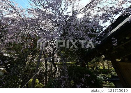 春の丹波篠山 121715010