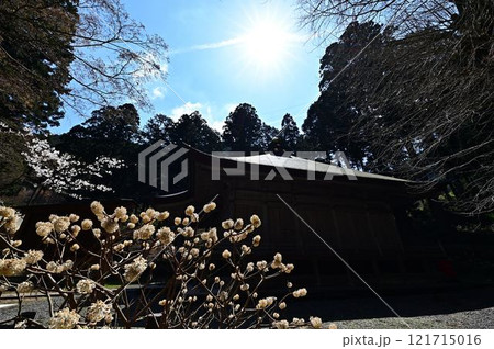 春の丹波篠山 春の丹波篠山 121715016