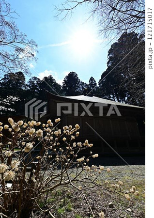 春の丹波篠山 春の丹波篠山 121715017