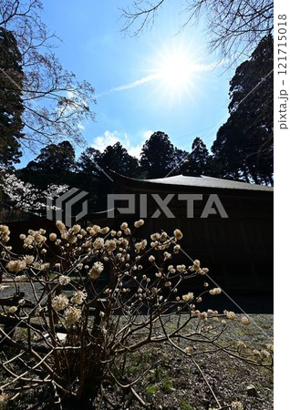 春の丹波篠山 121715018