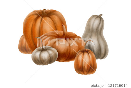 Rustic orange and grey pumpkins from the fall harvest as a festive holiday symbol.Farm healthy food.Decoration for Halloween,Thanksgiving,pie recipe.Watercolor clipart on transparent background 121716014