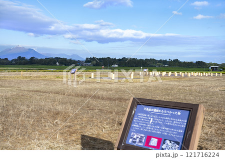 都城市大島畠田遺跡歴史公園 都城市大島畠田遺跡歴史公園 121716224
