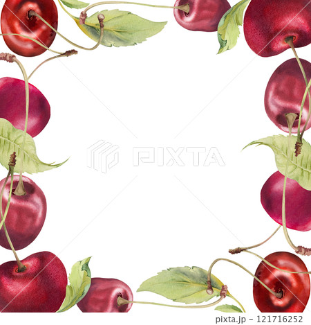 Sweet sour red cherry with green leaves, hand drawn in watercolor, garden berry in group clusters on branches. Square border frame illustration, for restaurant, cafe menu, wedding, farmers market. 121716252