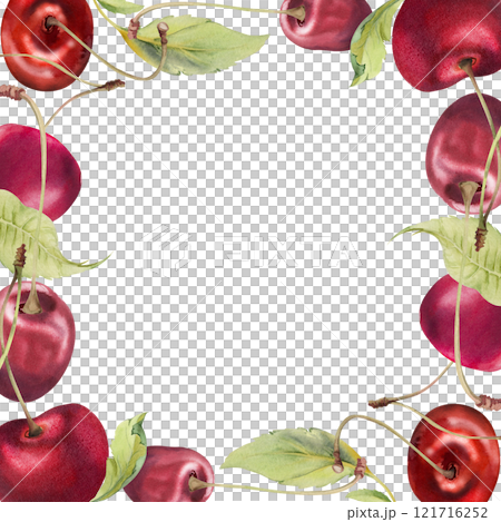 Sweet sour red cherry with green leaves, hand drawn in watercolor, garden berry in group clusters on branches. Square border frame illustration, for restaurant, cafe menu, wedding, farmers market. 121716252