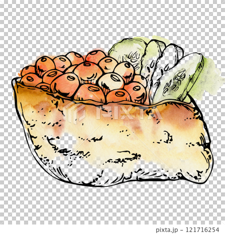 Traditional Japanese food inari sushi, fried tofu wrap pocket, cheese with raw fish salmon caviar, cucumber slices. Hand drawn in watercolor, ink. Illustration for restaurant, cafe menu, recipe book Traditional Japanese food inari sushi, fried tofu wrap pocket, cheese with raw fish salmon caviar, cucumber slices. Hand drawn in watercolor, ink. Illustration for restaurant, cafe menu, recipe book 121716254