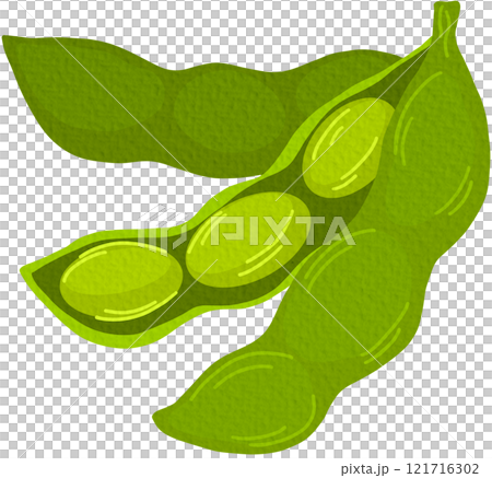 Raw soy, soybeans pods isolated vector set. Green fresh bean husk with seeds and leaves, soya natural vegetable plant. Vector healthy food cartoon illustration soybeans On white background. 121716302