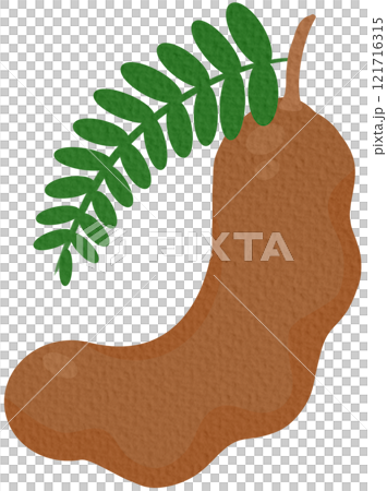 tamarind, fruit, leaf 121716315