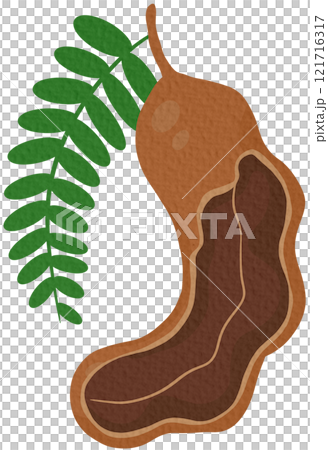 Sweet tamarind. A healthy fruit that is high in fiber. Help the digestive system for vegetarians On white background.	 121716317