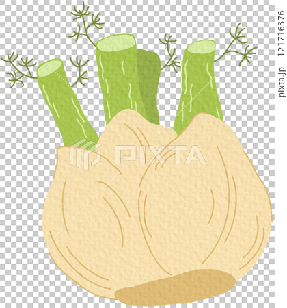 Bulb-like fennel root with leaves. Icon of green organic vegetable. Fresh raw aromatic finocchio plant. Colored flat vector illustration of healthy food isolated on white background	 121716376