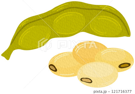 Raw soy, soybeans pods isolated vector set. Green fresh bean husk with seeds and leaves, soya natural vegetable plant. Vector healthy food cartoon illustration soybeans On white background. 121716377