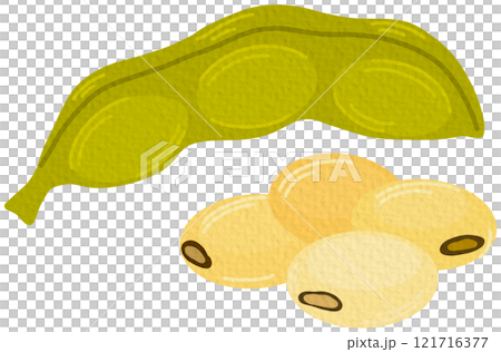 Raw soy, soybeans pods isolated vector set. Green fresh bean husk with seeds and leaves, soya natural vegetable plant. Vector healthy food cartoon illustration soybeans On white background. 121716377