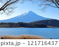 山中湖畔から望む富士と冬の桜 121716437