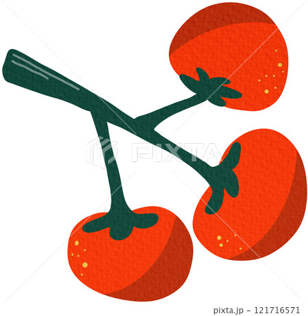 Ripe tomatoes on a branch. Set of red tomatoes. Set with hand drawn colorful doodle vegetables. Vector illustrations. Ripe tomatoes on a branch. Set of red tomatoes. Set with hand drawn colorful doodle vegetables. Vector illustrations. 121716571