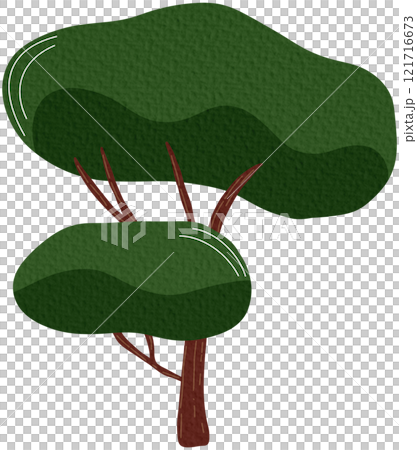 Deciduous tree with a green crown. Vector illustration isolated on white background, cartoon style. 121716673
